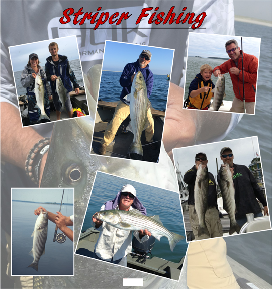 Striper fishing image