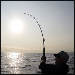 Fishing catch in the sun